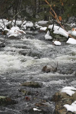 $430,000 | 481 Chocorua Mountain Highway, Tamworth, NH 03817