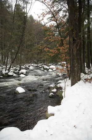 $430,000 | 481 Chocorua Mountain Highway, Tamworth, NH 03817