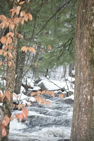 $430,000 | 481 Chocorua Mountain Highway, Tamworth, NH 03817