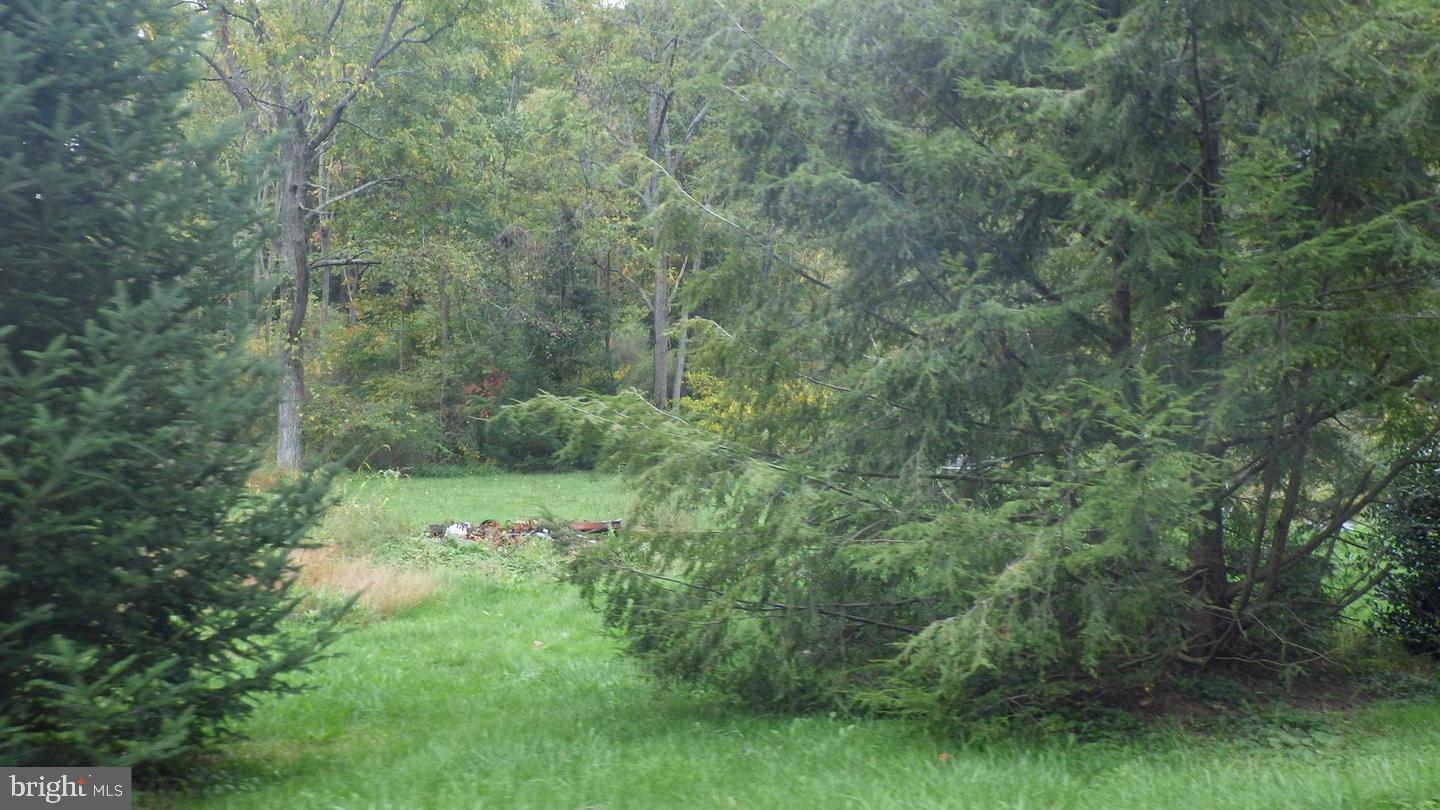 376 Dum Road Elliottsburg, PA 17024 - Photo 29 of 30 Gallery Image 29