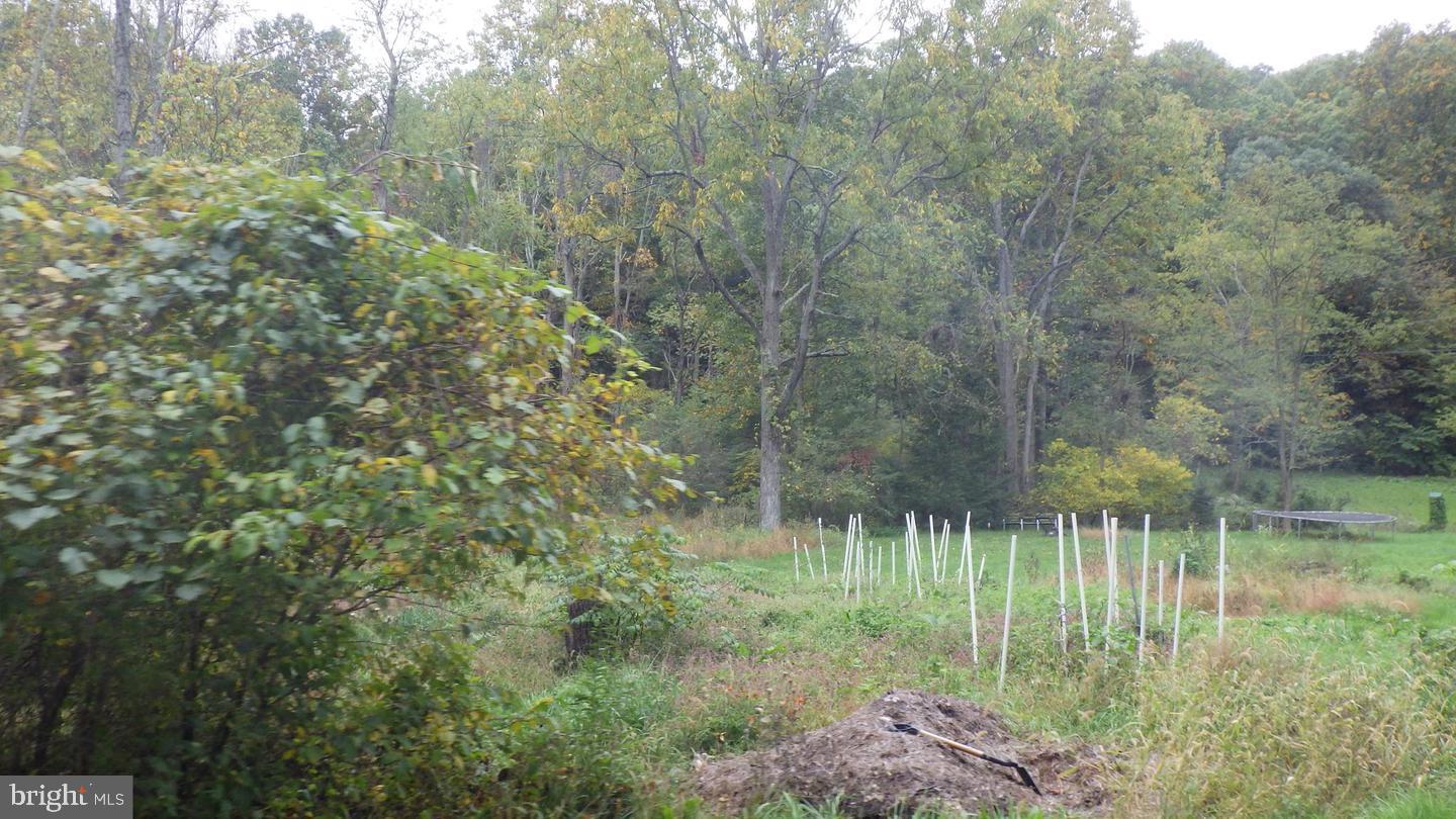 376 Dum Road Elliottsburg, PA 17024 - Photo 30 of 30 Gallery Image 30
