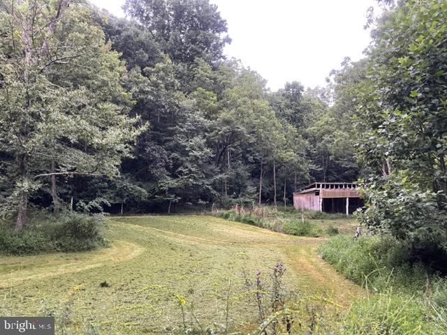 376 Dum Road Elliottsburg, PA 17024 - Photo 5 of 30 Gallery Image 5