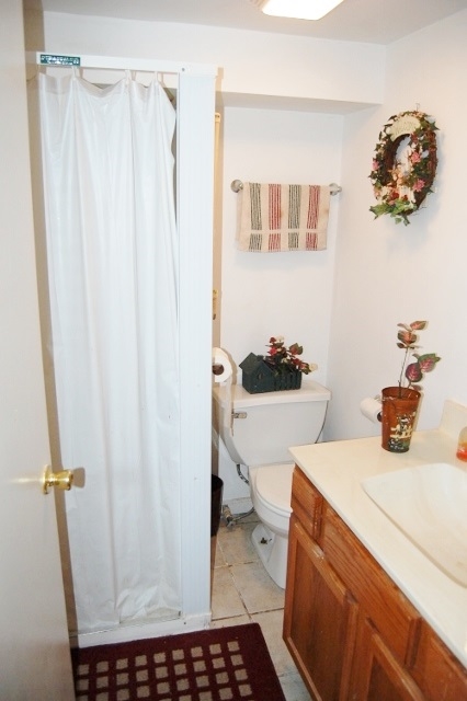 11132 North Landing Road Monticello, IN 47960 - Photo 12 of 24 Gallery Image 12