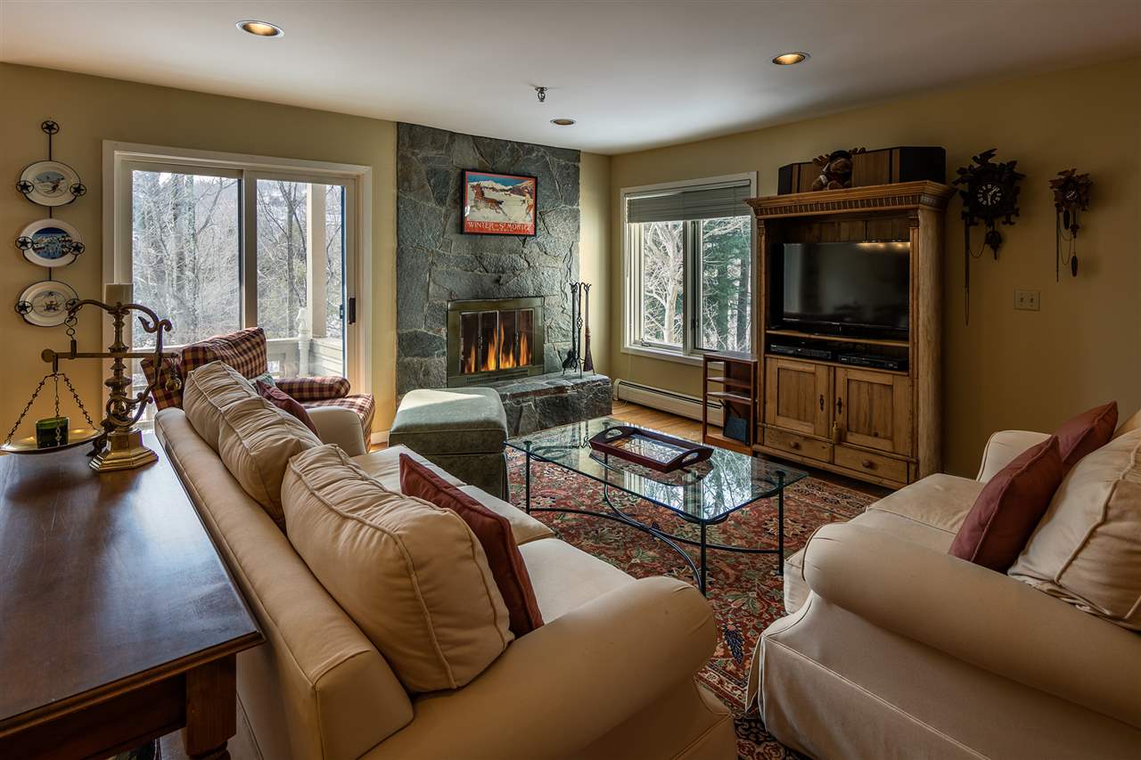 47 High Point Drive, Unit B122 Stratton, VT 05155 - Photo 3 of 22 Gallery Image 3