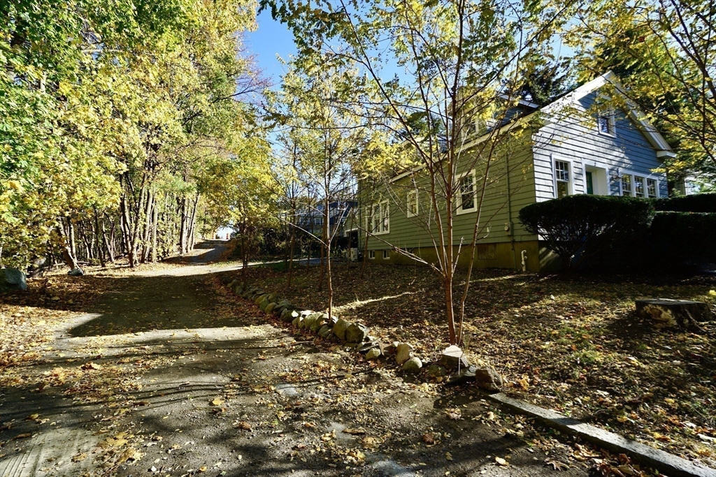 2 Thaxter Road Newton, MA 02460 - Photo 33 of 36 a view of backyard with green space