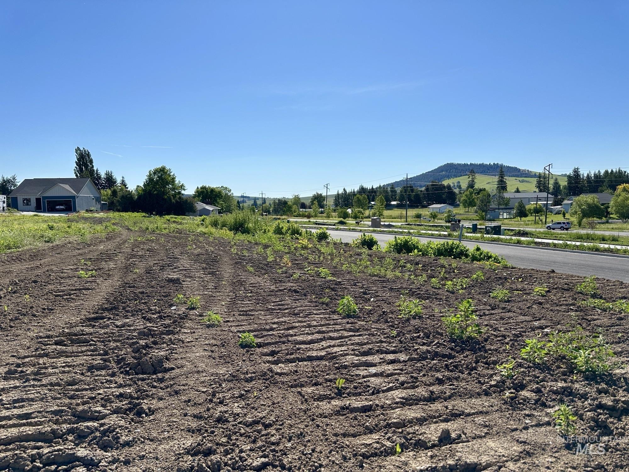 2830 Cyprus Court Moscow, ID 83843 - Photo 9 of 9