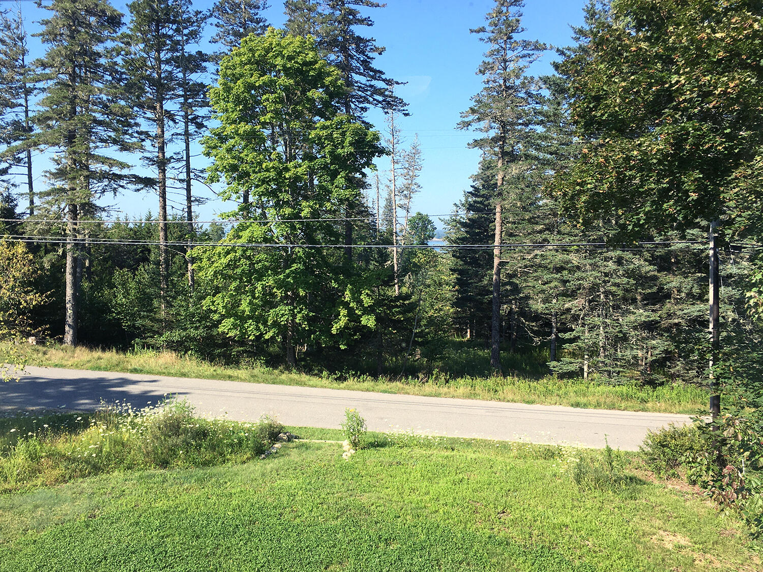 88 Cranberry Road Cranberry Isles, ME 04625 - Photo 23 of 38 IMG_6717