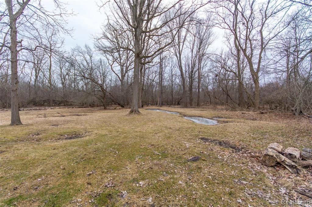 8475 Bridge Road Grosse Ile, MI 48138 - Photo 33 of 68