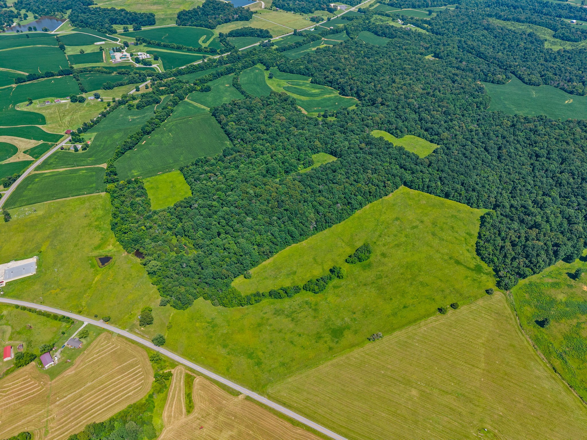 0 Highway 672 Princeton, KY 42445 - Photo 10 of 41