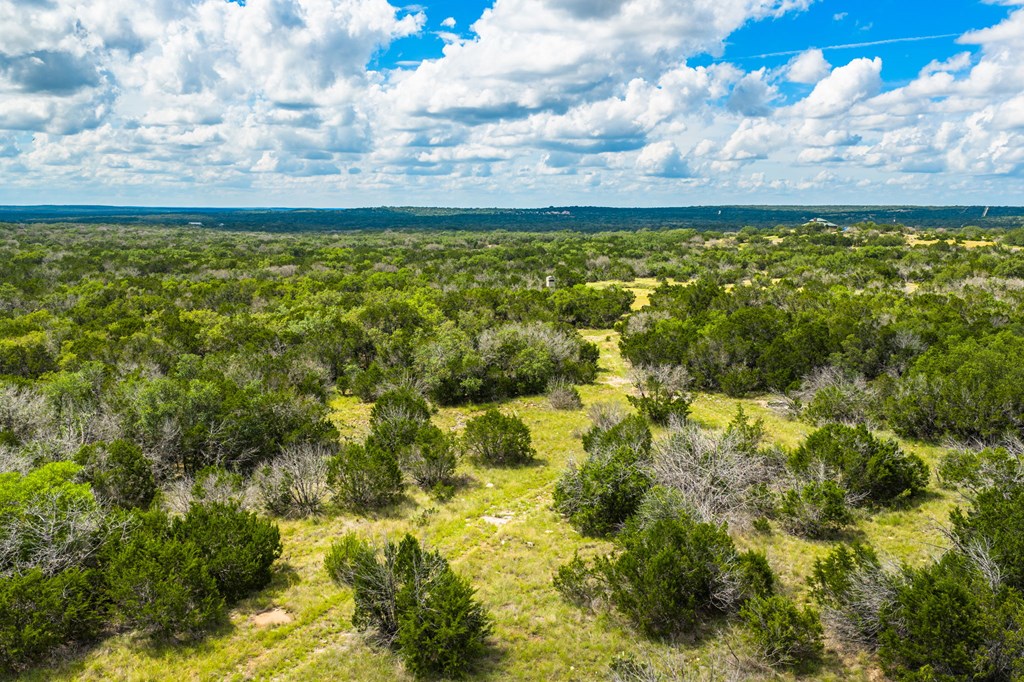 0 Jackson Ranch Rocksprings, TX 78880 - Photo 9 of 27