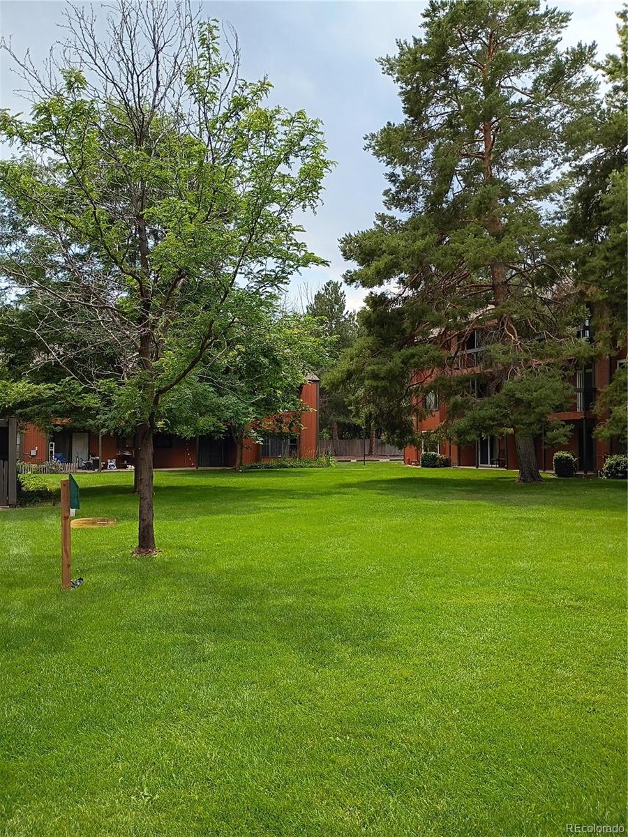 1625 West Elizabeth Street, Unit A1 Fort Collins, CO 80521 - Photo 20 of 27 a green field with lots of trees