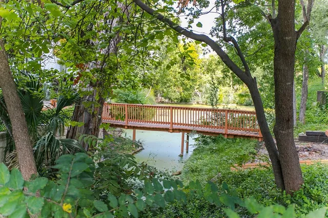 a view of a back yard