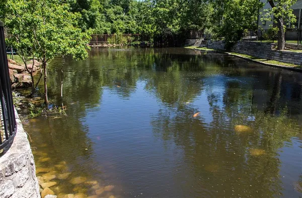 a lake view with boat and large trees