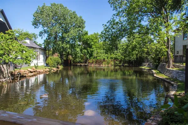 a body of water with a tree in the background