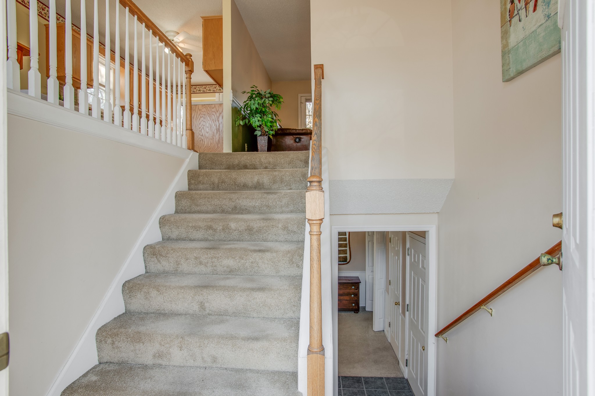 2416 Spring Ln Spring Hill Spring Hill, TN 37174 - Photo 6 of 28 Gallery Image 6