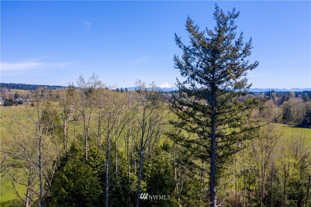 4 Sweet Road Blaine, WA 98230 - Photo 14 of 15