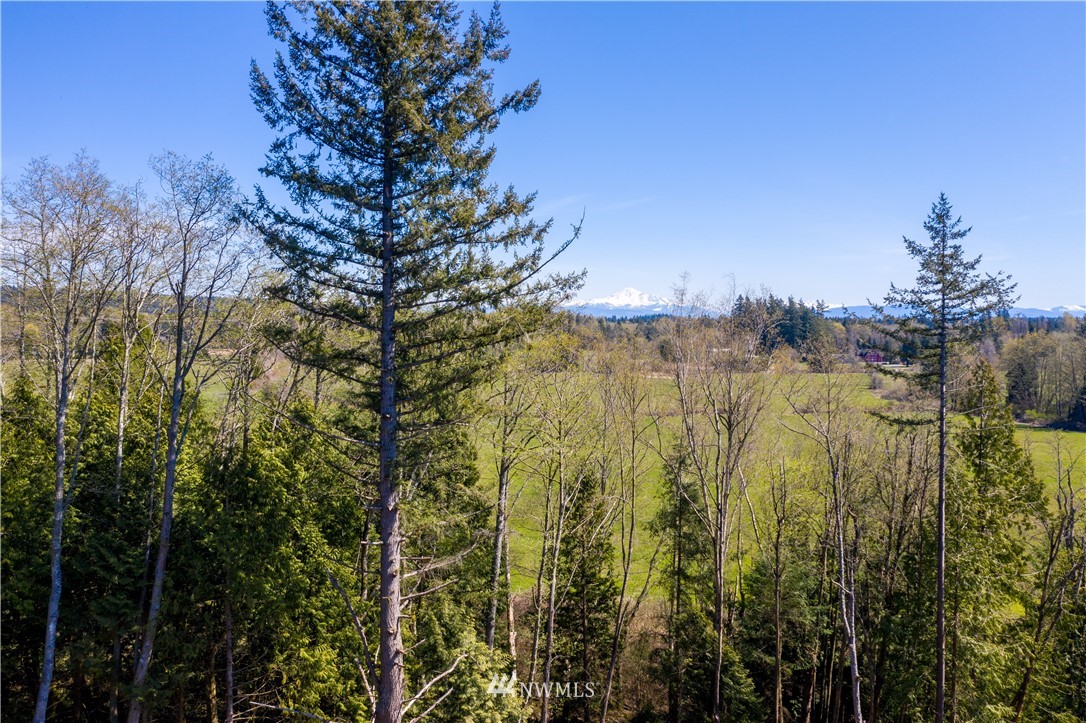 4 Sweet Road Blaine, WA 98230 - Photo 15 of 15
