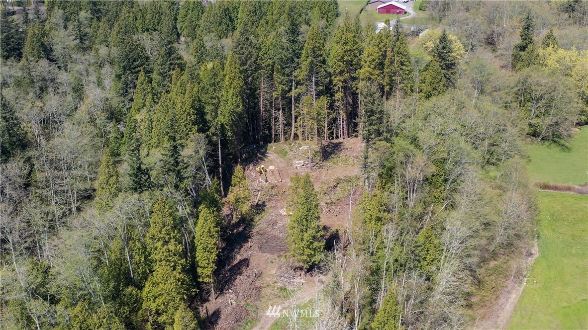 4 Sweet Road Blaine, WA 98230 - Photo 4 of 15