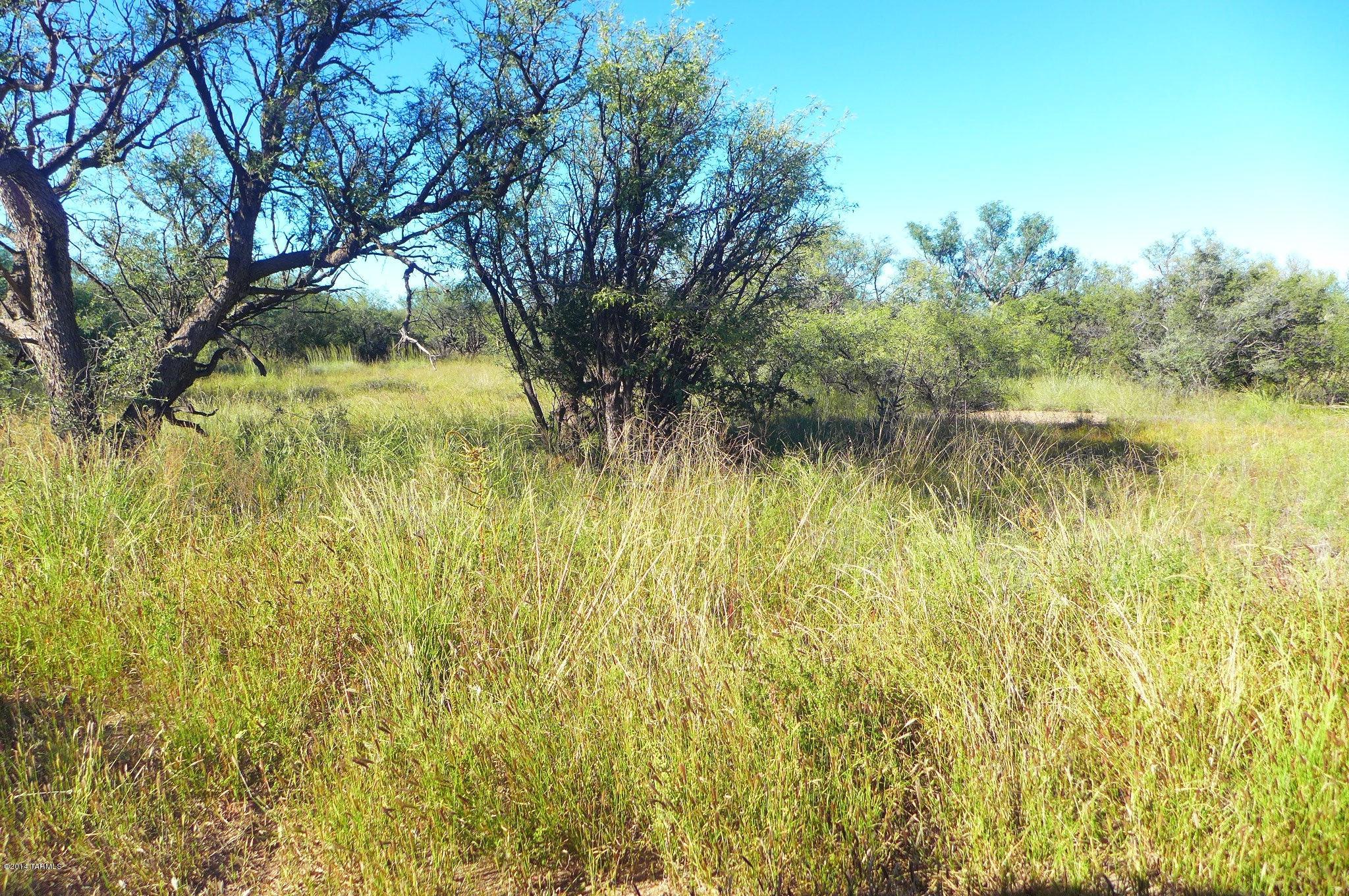 0 Yucca Ash Farm Road East, Unit 2 Sonoita, AZ 85637 - Photo 5 of 10
