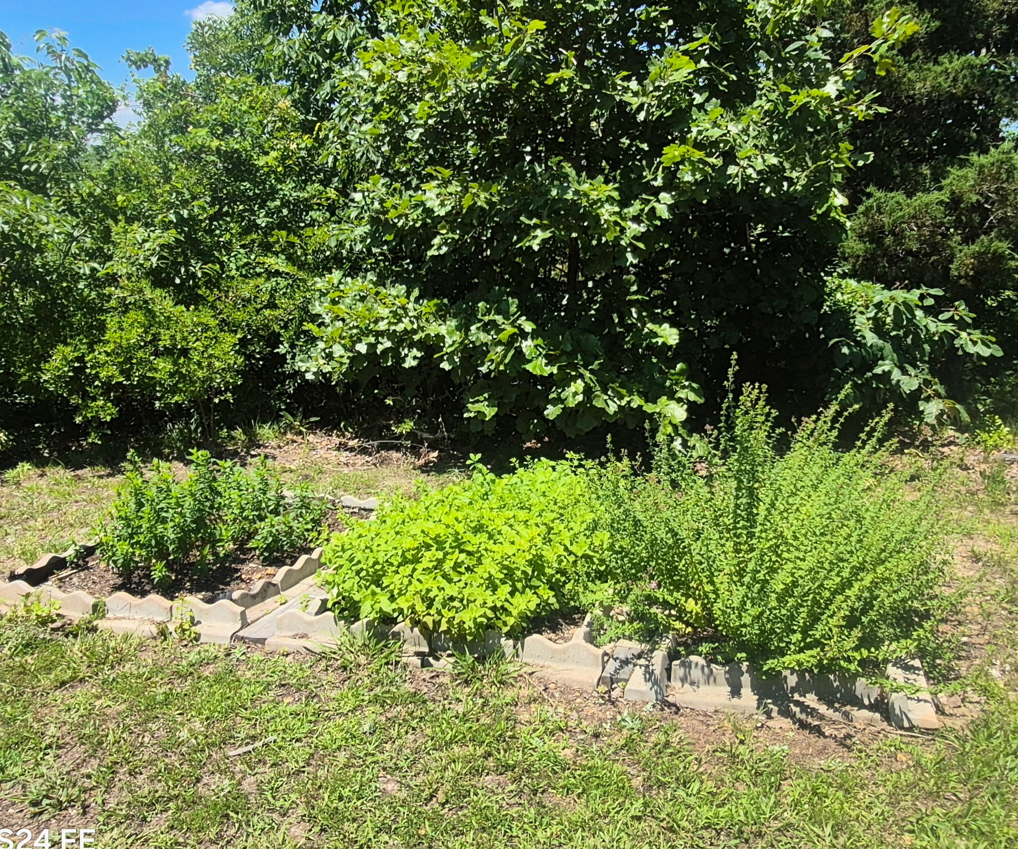 3519 Owl Hollow Road Linden, TN 37096 - Photo 39 of 42
