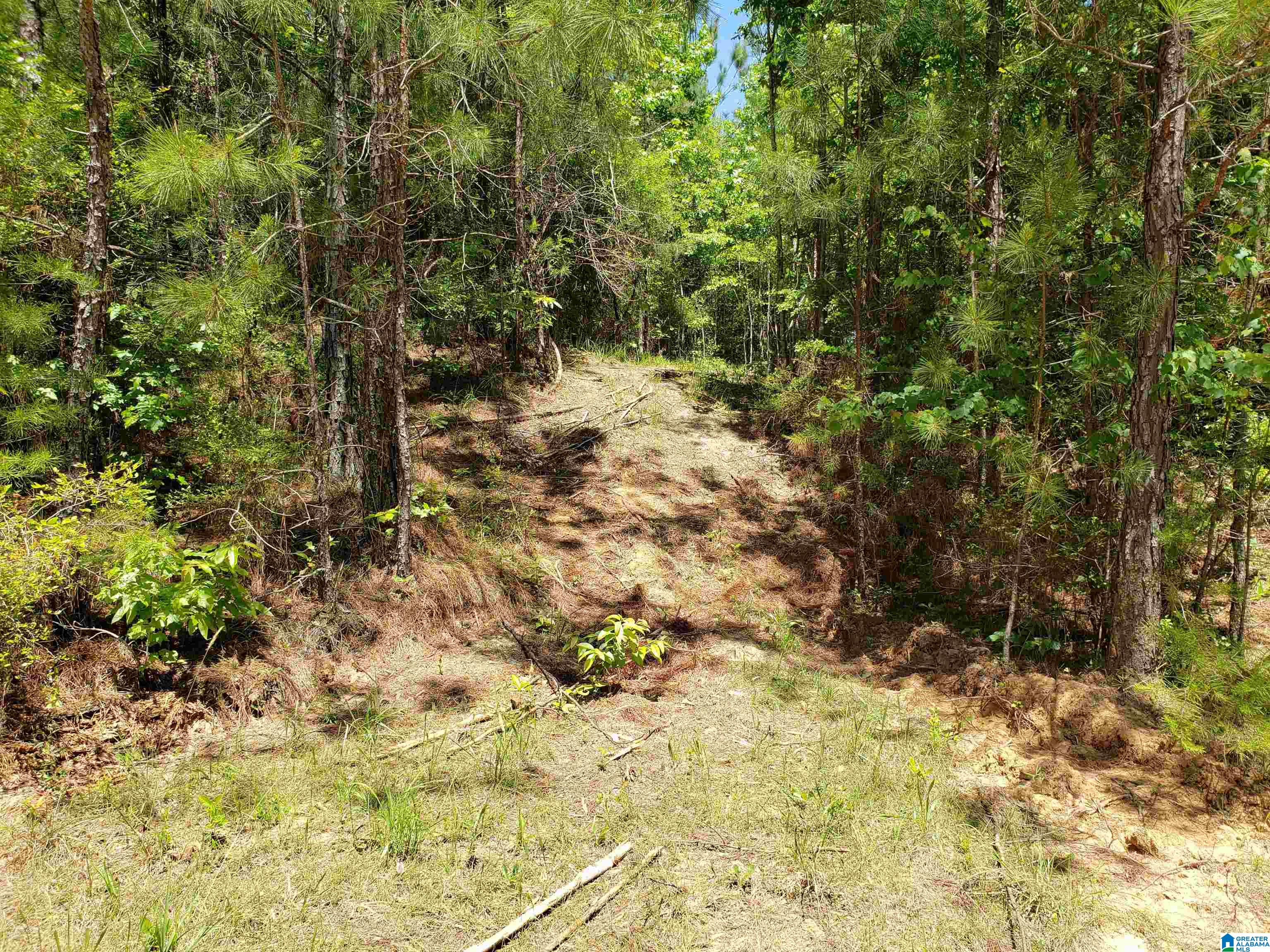 0 Clements Road, Unit 1 Cottondale, AL 35453 - Photo 10 of 16