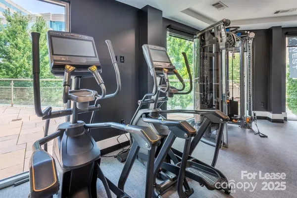 $1,442 | 902 West 4th Street, Unit GROVE, Charlotte, NC 28202