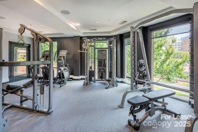 $1,230 | 902 West 4th Street, Unit GROVE, Charlotte, NC 28202