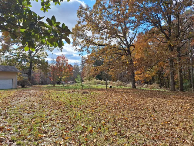 a view of yard covered with trees