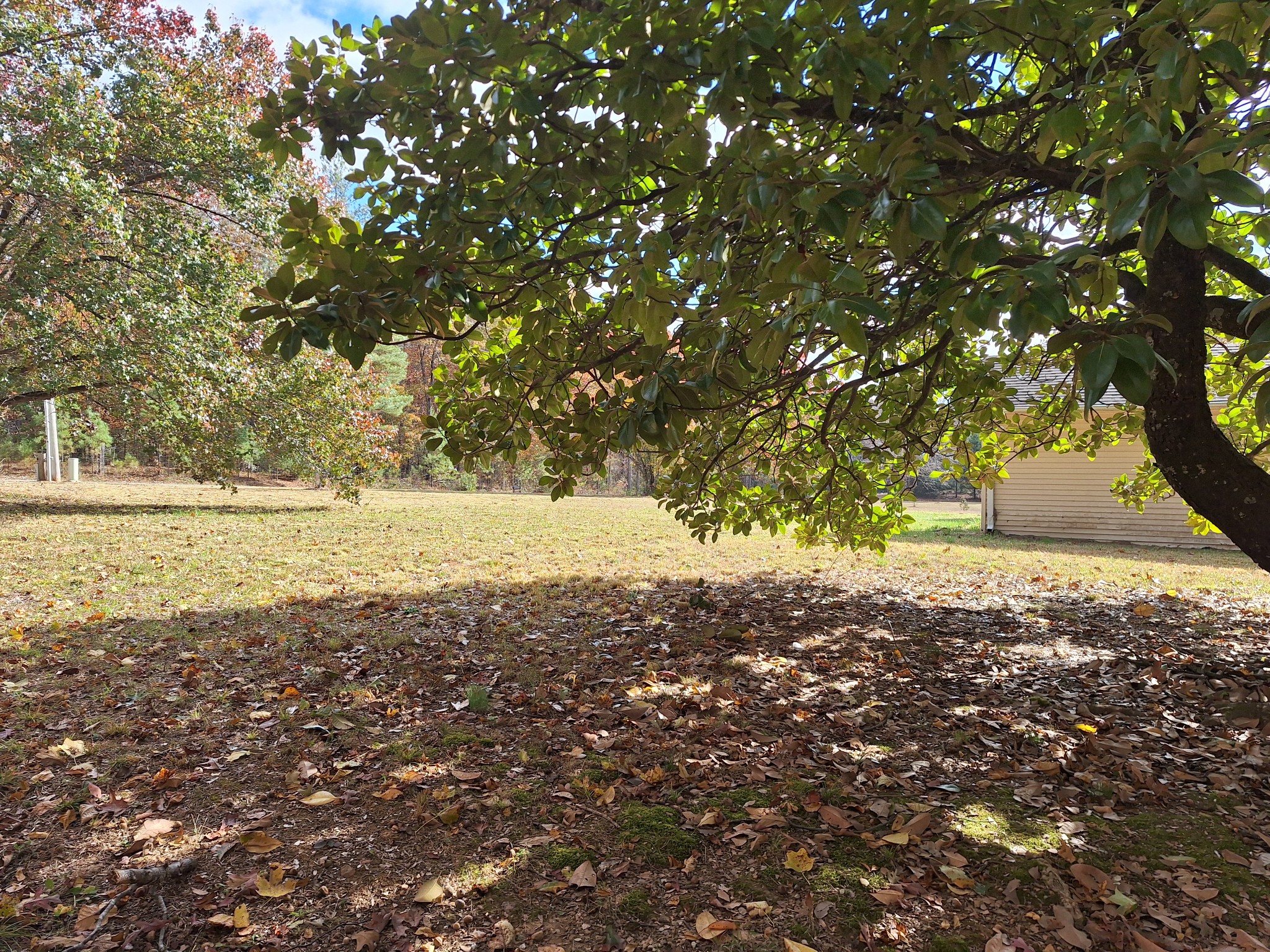 538 Mt Nebo Road Iron City, TN 38463 - Photo 25 of 43