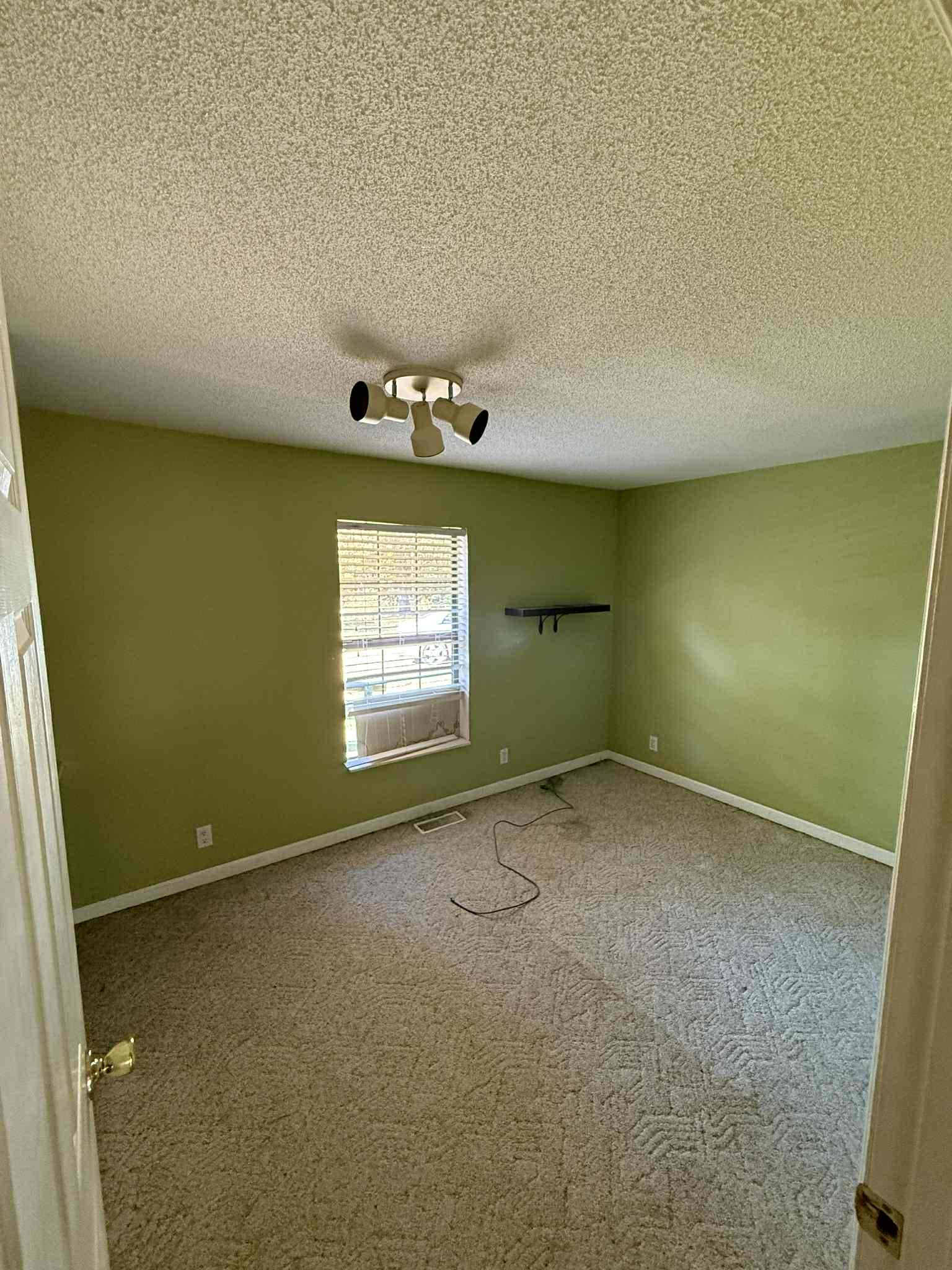 538 Mt Nebo Road Iron City, TN 38463 - Photo 38 of 43