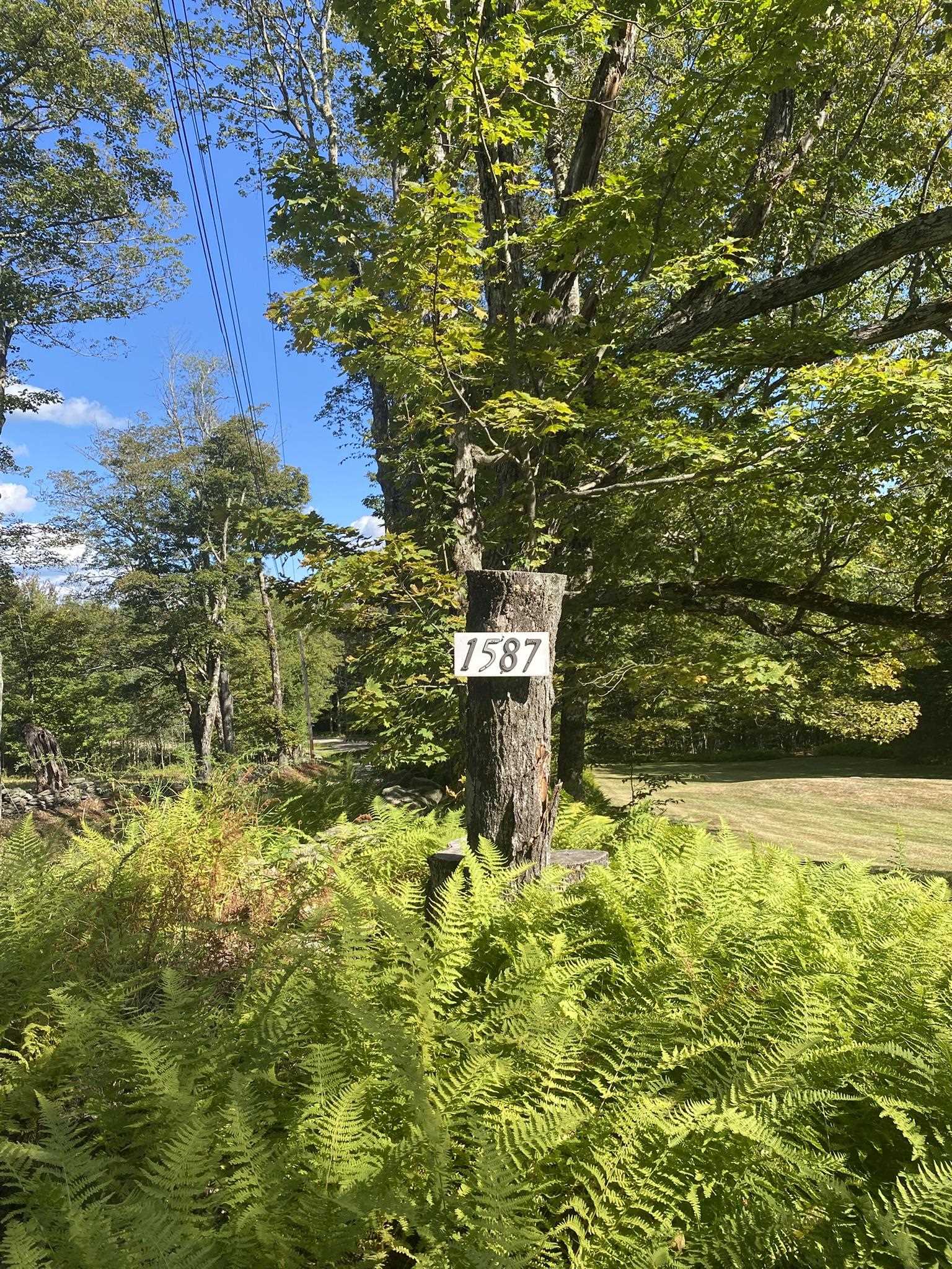 1587 Upper Holbrook Road Jacksonville, VT 05342 - Photo 7 of 43