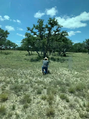 a view of a garden with a fountain
