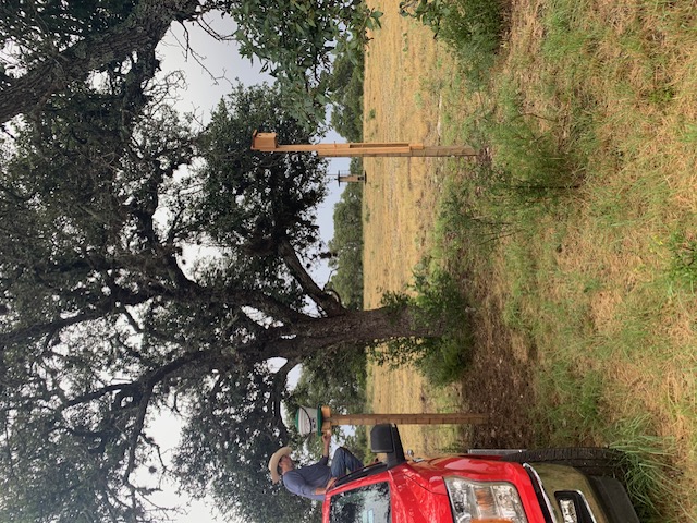 14 Seven Spgs Drive Junction, TX 76849 - Photo 9 of 11 a backyard of a house with lots of green space and fountain