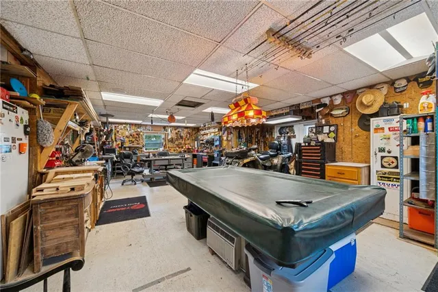a view of a garden with plants and large trees