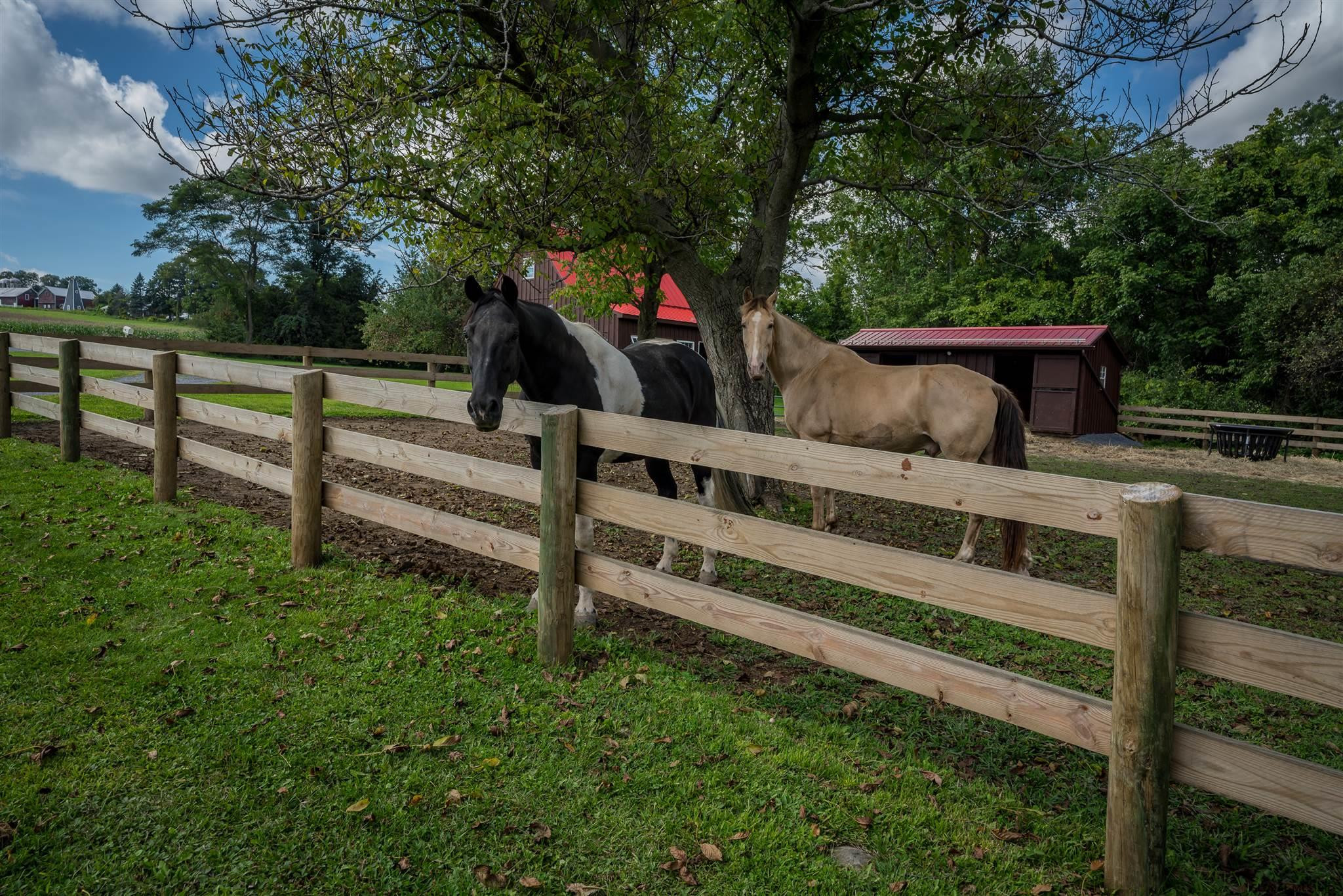 26 Degraff Road Charlton, NY 12010 - Photo 44 of 58 Photo 47