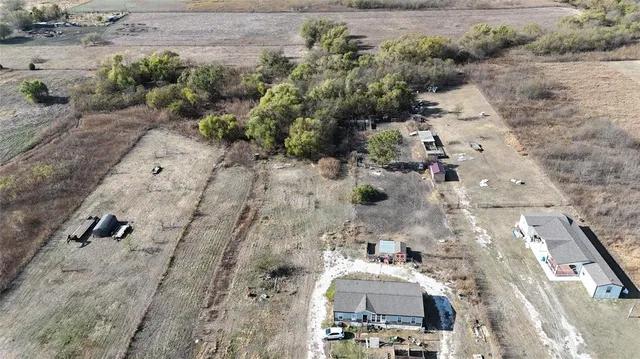 a picture of a tree in a backyard
