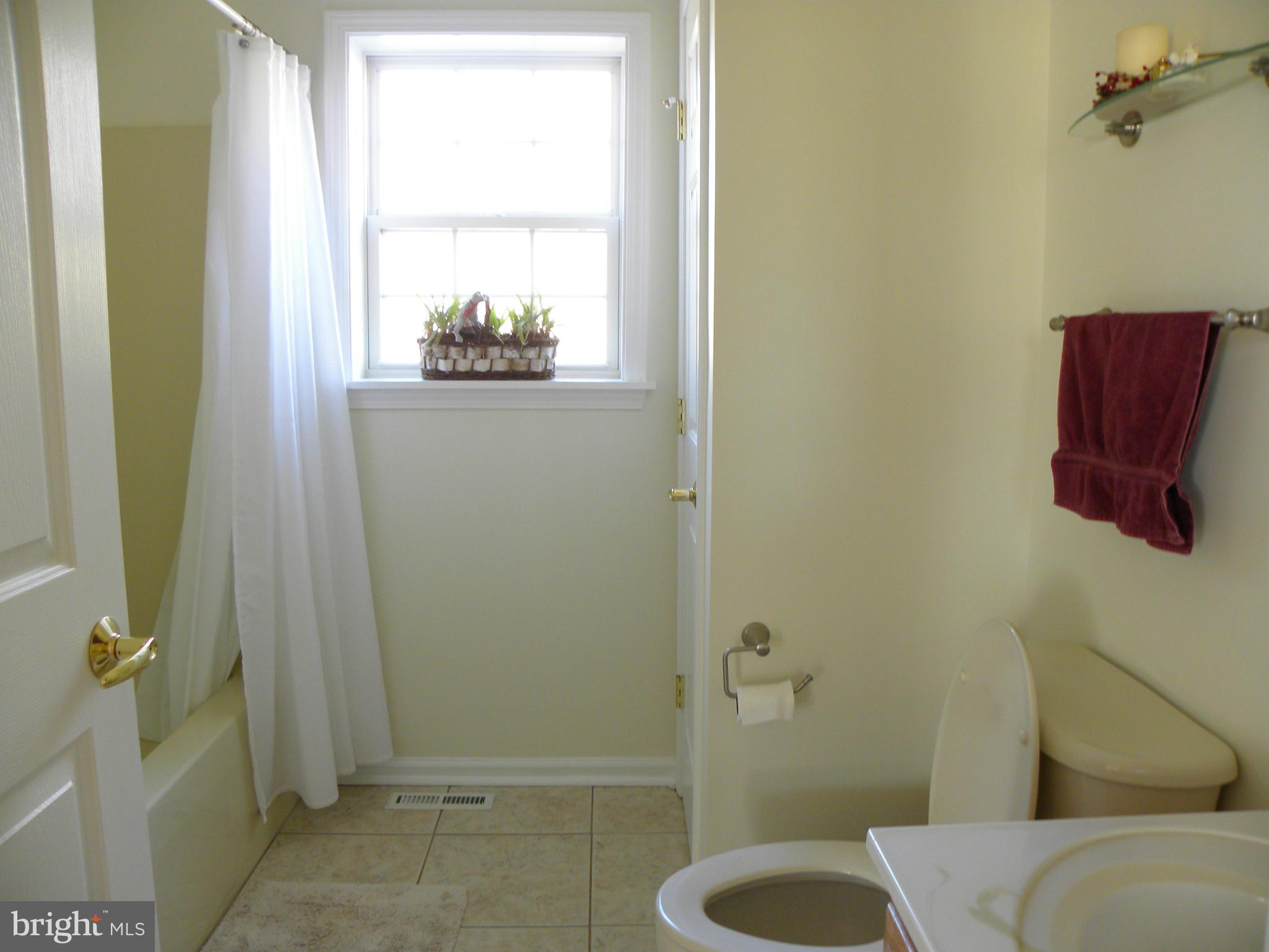 5385 Green Bridge Road Dayton, MD 21036 - Photo 9 of 29 Full guest bathroom on main floor