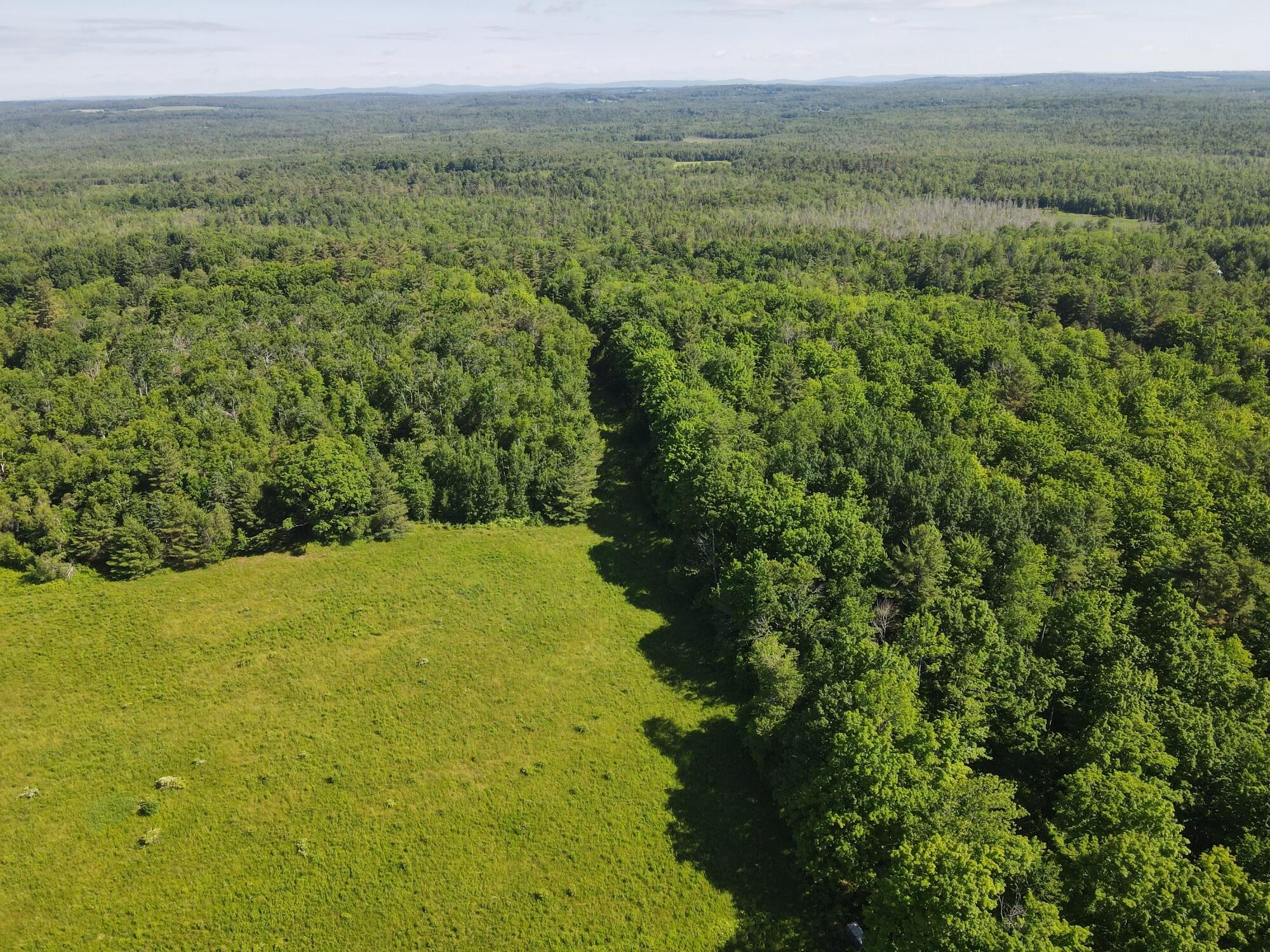 Lot 3 East Newport Road Stetson, ME 04488 - Photo 6 of 23 dji_fly_20240613_091716_162_171828468774