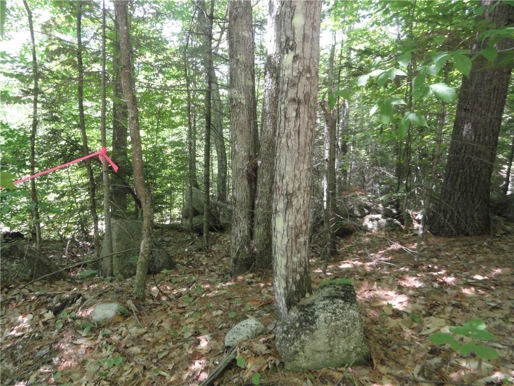 0 Goshen Road Waterford, ME 04088 - Photo 3 of 4 Photo