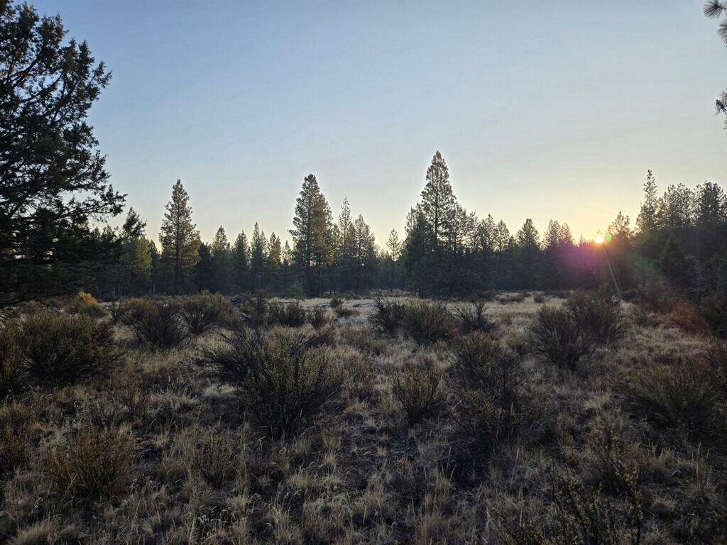 0 Fremont Road Sprague River, OR 97639 - Photo 1 of 3 imagejpeg_2