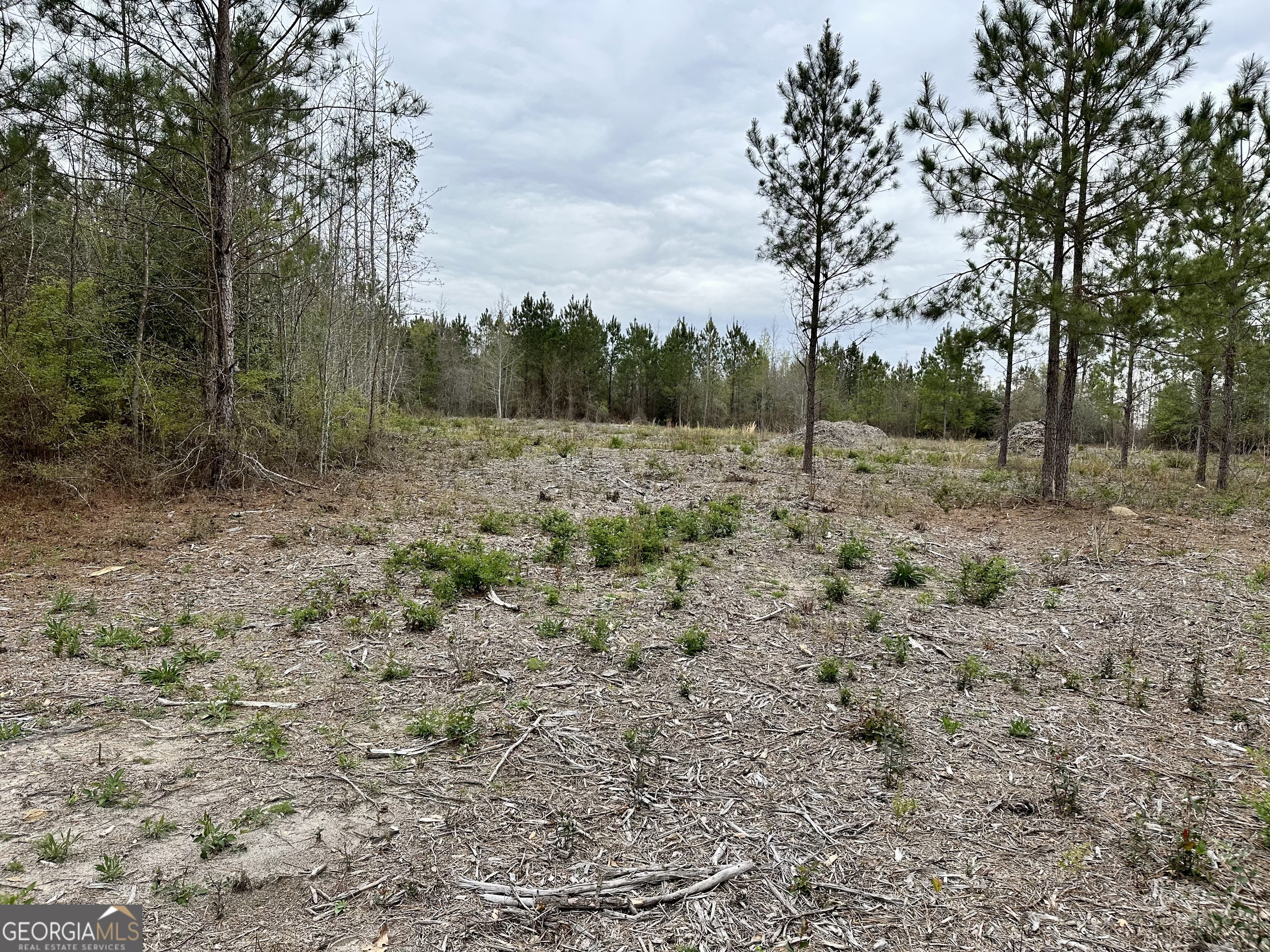 1976 Rock Springs Road Dublin, GA 31021 - Photo 11 of 13 a view of a dry yard with trees