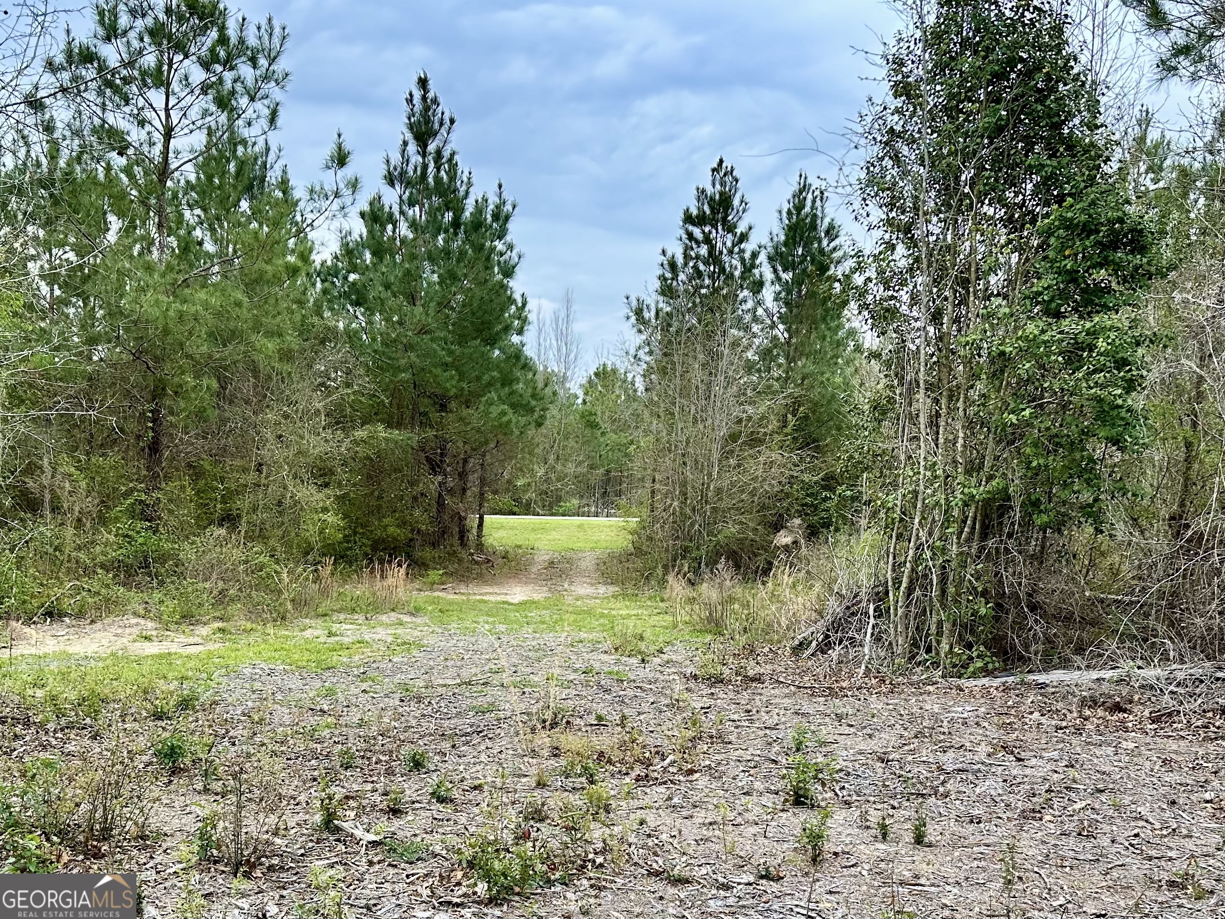 1976 Rock Springs Road Dublin, GA 31021 - Photo 3 of 13 a view of a park with large trees