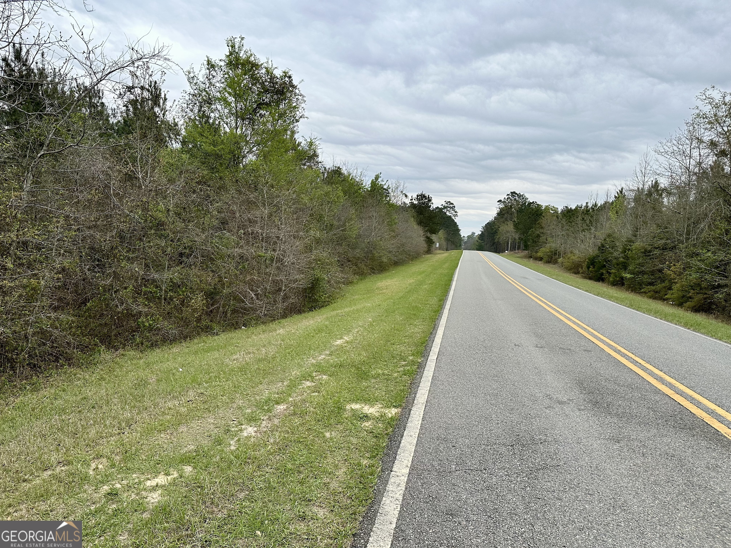 1976 Rock Springs Road Dublin, GA 31021 - Photo 4 of 13 a view of a pathway both side of yard