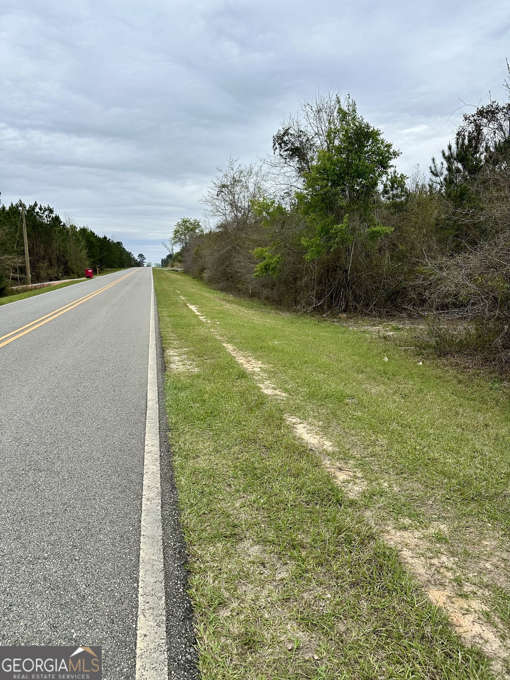 1976 Rock Springs Road Dublin, GA 31021 - Photo 5 of 13 a view of a field with an ocean view