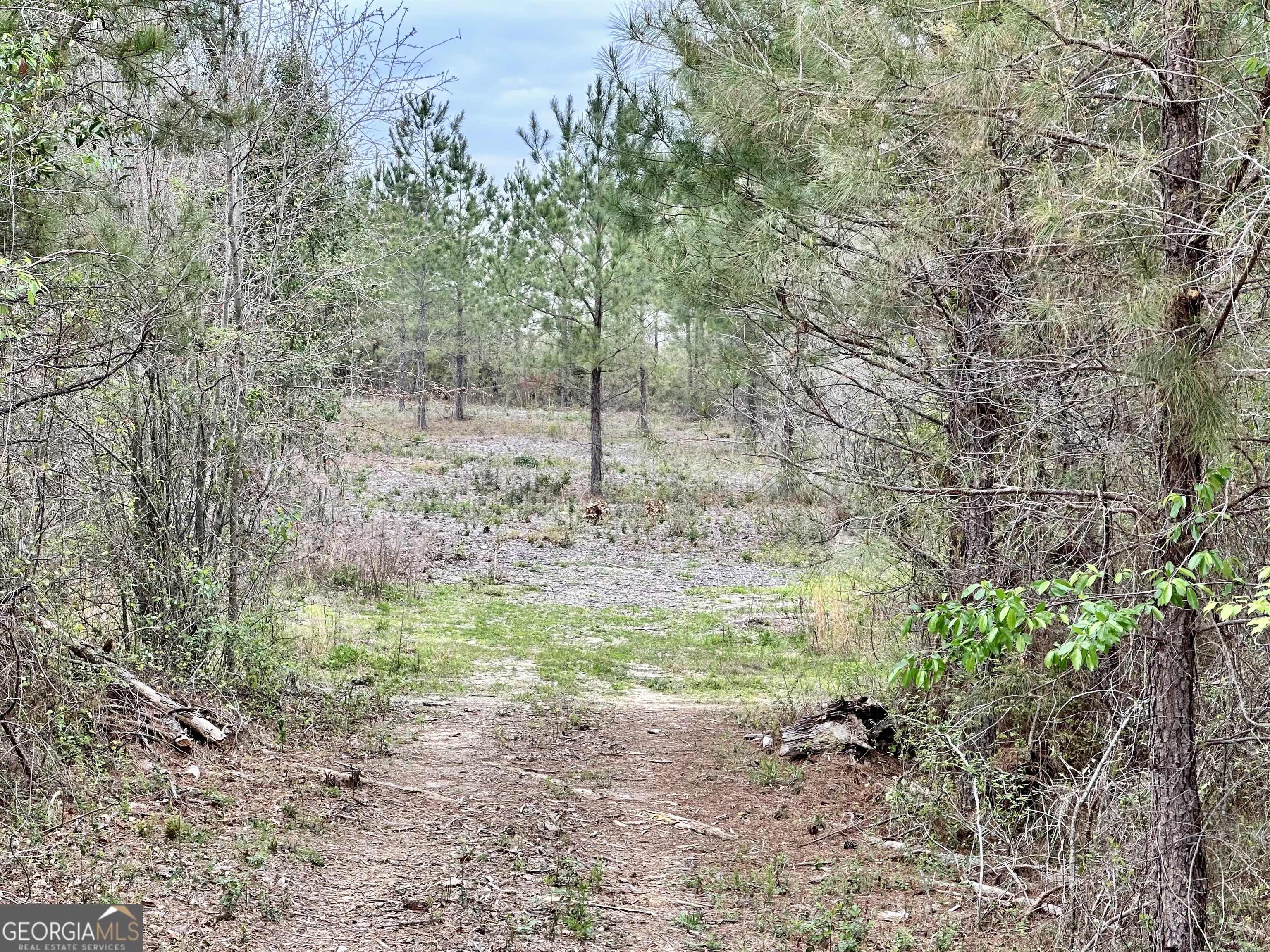 1976 Rock Springs Road Dublin, GA 31021 - Photo 6 of 13 a backyard of a house with lots of green space