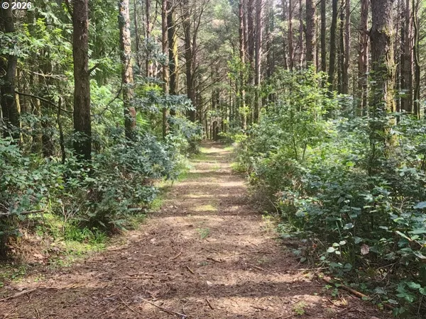 $275,000 | Cemetery Loop Road, Unit 2300, Port Orford, OR 97465