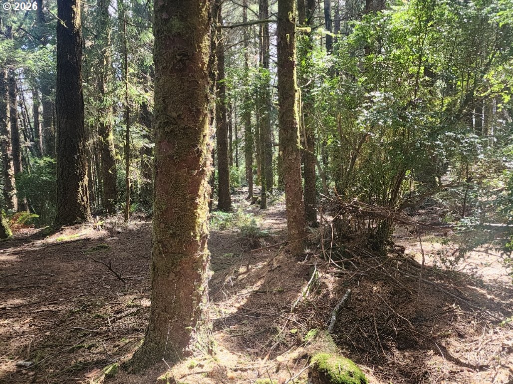 Cemetery Loop Road, Unit 2300 Port Orford, OR 97465 - Photo 2 of 6
