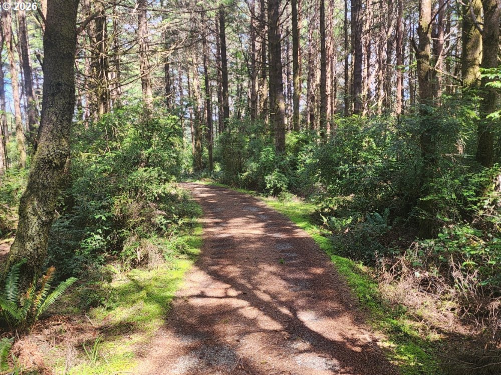 Cemetery Loop Road, Unit 2300 Port Orford, OR 97465 - Photo 3 of 6