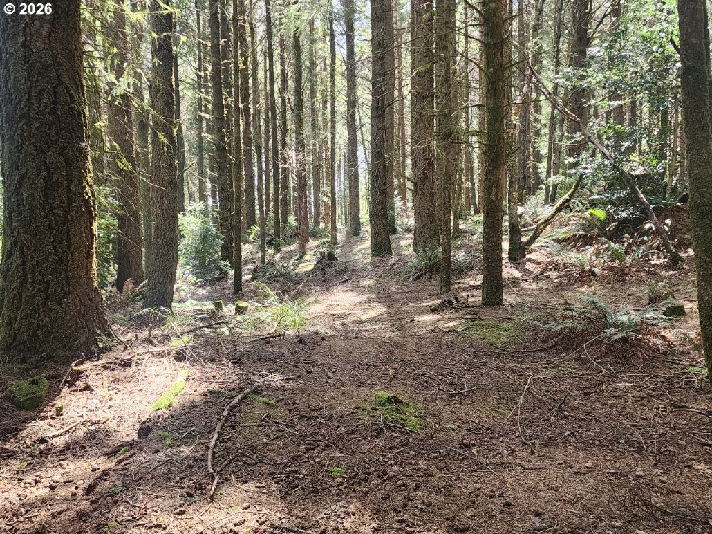 Cemetery Loop Road, Unit 2300 Port Orford, OR 97465 - Photo 5 of 6