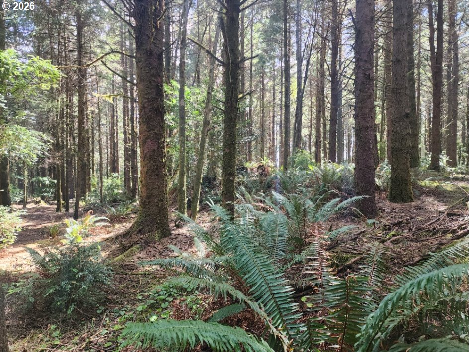 Cemetery Loop Road, Unit 2300 Port Orford, OR 97465 - Photo 6 of 6